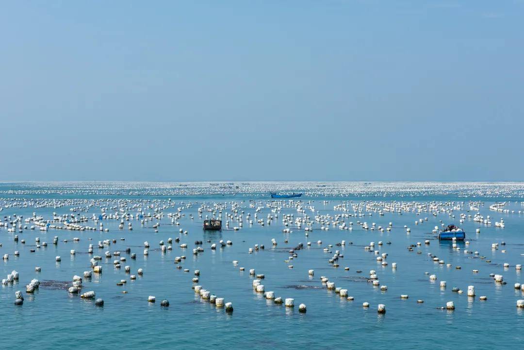 海水水產養(yǎng)殖廢水處理方法|工藝流程|排放標準-1